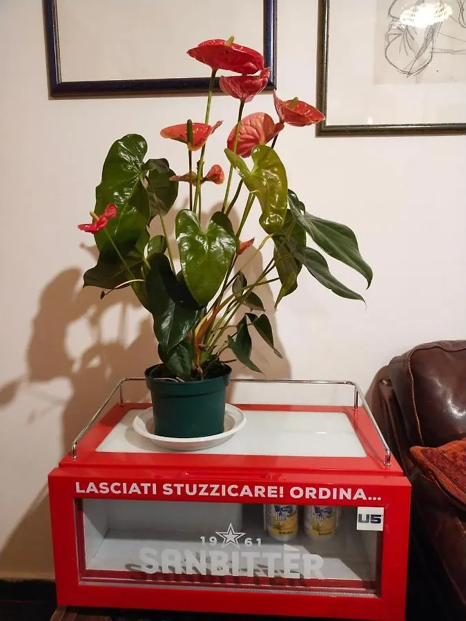 B&B Alla Pianura dei Resuttano Palermo Bed & Breakfast